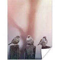 PosterMonkey Poster Vogels - Mussen - Paaltjes - Hout - 120x160 cm XXL