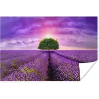 PosterMonkey Poster Lavendel - Boom - Paars - Wolken - 90x60 cm