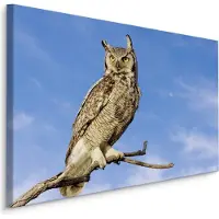 Karo-art Schilderij - Op zoek naar zijn prooi, Premium Print