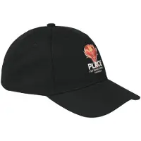 Jack & Jones Blume Baseball Cap Zwart Man