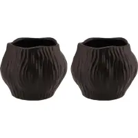 DK Design Bloempot/plantenpot organisch model Multan - 2x - zwart - D13 x H11 cm - voor binnen