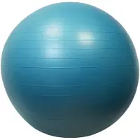 Sporti France Gymball 65cm