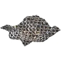 Schuller Valencia Wand- en plafondlamp Saten, kristal, 41 cm SATEN, helder / transparant, Woon-/ Eetkamer, Kristal, Wandlamp