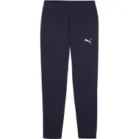 Puma Sportbroek 'TeamFINAL' | XXL | male