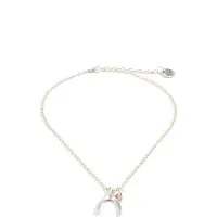 Heaven Eleven - dames ketting zilverkleurige plating geluksbotje - 40cm