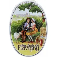 Anis de Flavigny Les - Anijspastilles met anijssmaak - Bewaardoosje ovaal 50 gram anijssnoepjes