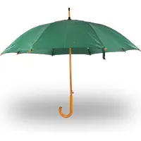 Discountershop Paraplu Groene Paraplu - Winddicht en Automatisch voor Volwassenen | 98 cm Diameter - Met Houten Stok en Handvat