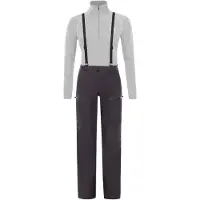 The North Face W Freethinker Futurelight Dames Skibroek Weathered Black L