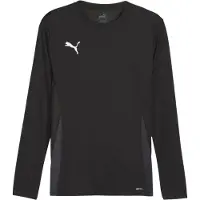 Puma Functioneel shirt 'teamGOAL' donkergrijs / zwart / wit