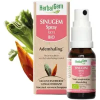 Herbalgem Sinugem Spray GC15 Bio | 15 ml