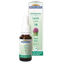 Biofloral Bachbloesems 19 Lariks Bio 20 ml Druppels