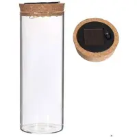 Ideas 4 Seasons Ideas4seasons Pot/vaas van glas voor planten ecosysteem - deksel met LED verlichting - D8 x H22 cm - Vazen