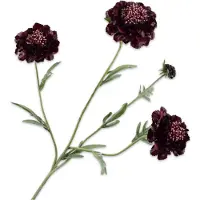 Silk-ka Kunstbloem-Zijden Bloem Scabiosa Paars 80 cm