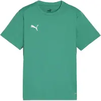 Puma Trainingsshirt teamGOAL - Groen/Wit Kids