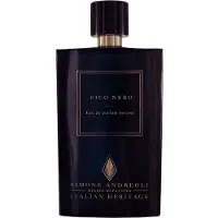 Simone Andreoli Fico Nero Eau de Parfum 100 ml