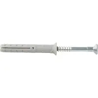 Fischer Slagplug met schroef | | 50 stuks (6x40/10, PZ2)