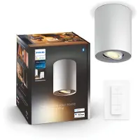 Philips Pillar Opbouwspot - 1 Spot + Dimmer - Wit