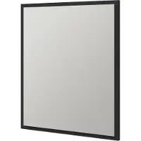 Tiger S-line Frame spiegel 60x70cm Mat zwart