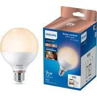 Philips Ledlamp G95 E27 11w