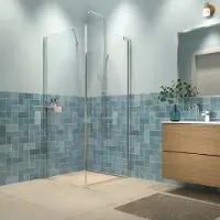 Sealskin - Douchedeur + Zijwand Inc 100 X 200cm - Chroom Profiel - 8 Mm Helder Glas