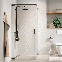 Sealskin Draaideur Pure Voor Combinatie Met Zijwand 100x200 cm Helder Glas Antikalk Geborsteld Gunmetal