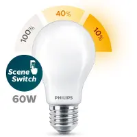 Philips Ledlichtbron Warm Wit E27 13w