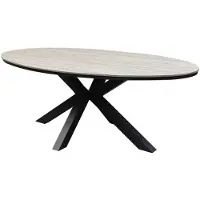 AVH-Collectie Salvador dining tuintafel ovaal 220x115xH75 cm polywood