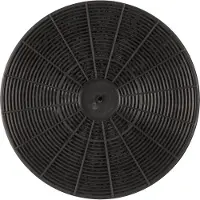 Hotpoint -Ariston Koolstoffilter C00307668 / C00384660