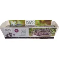 Buzzy Microgreens Kiemgroentezaad Daikon Radijs (Raphanus Sativus) 11 X 12 X 6 Cm