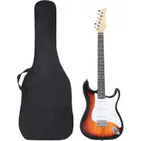 vidaXL Gitaar voor beginners elektrisch met tas 4/4 39" bruin en wit