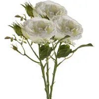 Emerald Kunstbloem roos Anne - 3x - creme - 37 cm - decoratie bloemen