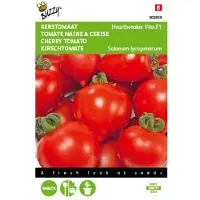 Buzzy Tomaten Heartbreaker F1