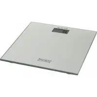 Pricenet Rl-Ps3: Digitale Led-Weegschaal Zilver