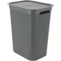 Rotho Brisen - Wasmand met Deksel - 50L - Antraciet