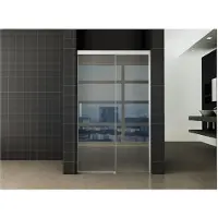 Boss & Wessing Bws douchedeur | softclose 2.0 | 110x200 cm | 8 mm aluminium nano coating | nisdeur