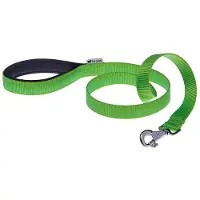 Ferplast hondenlijn Daytona 120 x 2,5 cm nylon groen