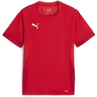 Puma teamGOAL Matchday Voetbalshirt Kids Rood Wit