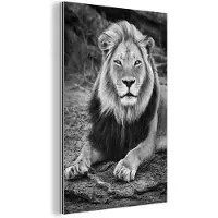 MuchoWow Wanddecoratie Metaal - Aluminium Schilderij Industrieel - Dieren - Zwart - Wit - Profiel - 60x90 cm - Dibond - Foto op aluminium - Industriële muurdecoratie - Voor de woonkamer/slaapkamer
