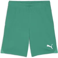 Puma GOAL Training Short