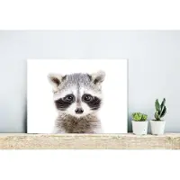 MuchoWow Wanddecoratie Metaal - Aluminium Schilderij Industrieel - Wasbeer - Dieren - Natuur - Wit - 40x30 cm - Dibond - Foto op aluminium - Industriële muurdecoratie - Voor de woonkamer/slaapkamer