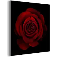 MuchoWow Wanddecoratie Metaal - Aluminium Schilderij Industrieel - Roos - Rood - Zwart - 90x90 cm - Dibond - Foto op aluminium - Industriële muurdecoratie - Voor de woonkamer/slaapkamer