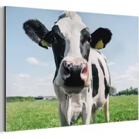 MuchoWow Wanddecoratie Metaal - Aluminium Schilderij Industrieel - Koe - Weiland - Natuur - Dieren - Gras - 30x20 cm - Dibond - Foto op aluminium - Industriële muurdecoratie - Voor de woonkamer/slaapkamer