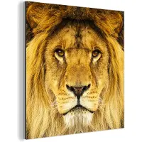 MuchoWow Wanddecoratie Metaal - Aluminium Schilderij Industrieel - Leeuw - Portret - Bruin - 50x50 cm - Dibond - Foto op aluminium - Industriële muurdecoratie - Voor de woonkamer/slaapkamer