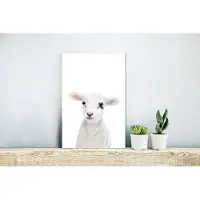 MuchoWow Wanddecoratie Metaal - Aluminium Schilderij Industrieel - Lam - Wit - Dieren - Natuur - 20x30 cm - Dibond - Foto op aluminium - Industriële muurdecoratie - Voor de woonkamer/slaapkamer