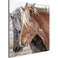 MuchoWow Wanddecoratie Metaal - Aluminium Schilderij Industrieel - Paarden - Natuur - Macro - 50x50 cm - Dibond - Foto op aluminium - Industriële muurdecoratie - Voor de woonkamer/slaapkamer
