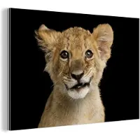 MuchoWow Wanddecoratie Metaal - Aluminium Schilderij Industrieel - Welp - Portret - Kleuren - 60x40 cm - Dibond - Foto op aluminium - Industriële muurdecoratie - Voor de woonkamer/slaapkamer