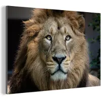 MuchoWow Wanddecoratie Metaal - Aluminium Schilderij Industrieel - Leeuwen - Kleur - Portret - 90x60 cm - Dibond - Foto op aluminium - Industriële muurdecoratie - Voor de woonkamer/slaapkamer
