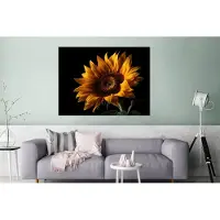 MuchoWow Wanddecoratie Metaal - Aluminium Schilderij Industrieel - Bloemen - Botanisch - Zwart - Zonnebloem - 160x120 cm - Dibond - Foto op aluminium - Industriële muurdecoratie - Voor de woonkamer/slaapkamer