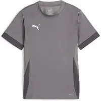 Puma Trainingsshirt teamGOAL - Grijs/Wit Kids
