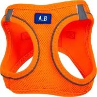 Animal Boulevard Ab32219 - Hals- En Leibanden - Hond - Ab Air-mesh Comfortharnas Oranje-l 8-13kg - Maat: L 8-13kg